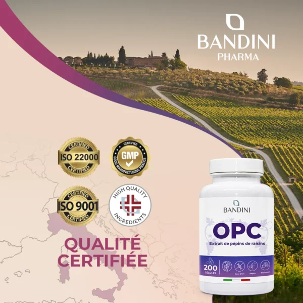 Complément alimentaire à base d’extrait de pépins de raisin OPC