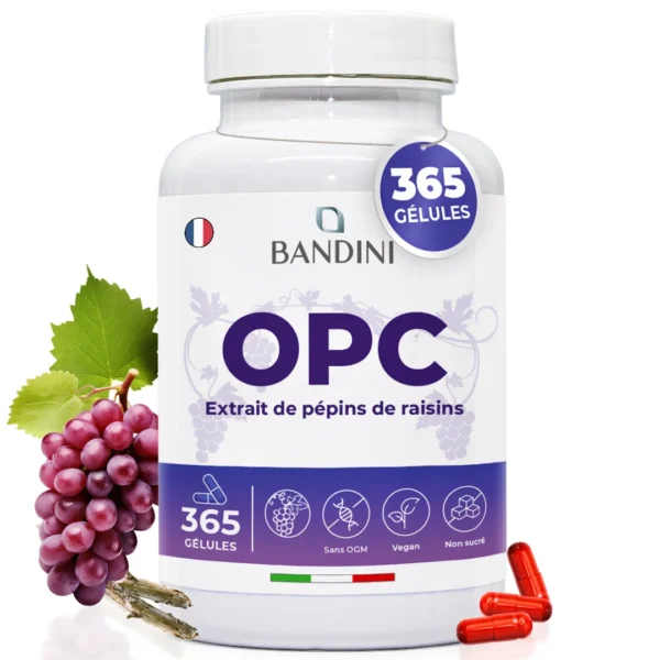 Complément alimentaire à base d’extrait de pépins de raisin OPC