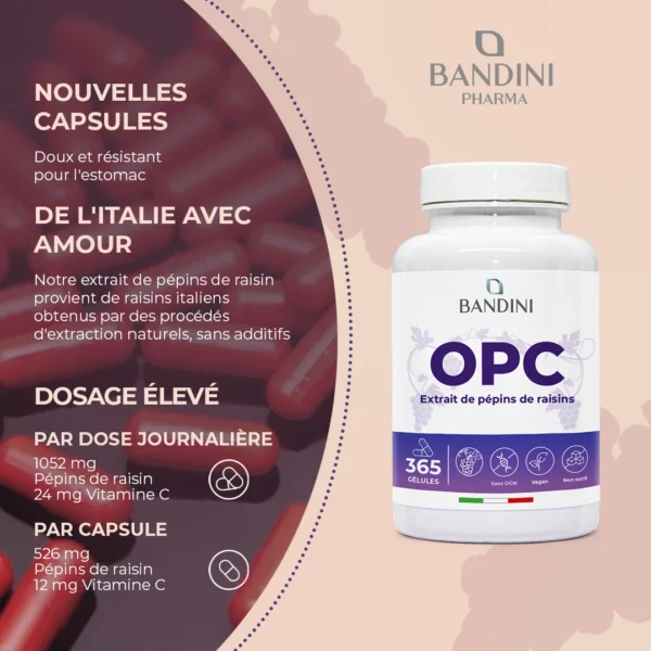 Complément alimentaire à base d’extrait de pépins de raisin OPC