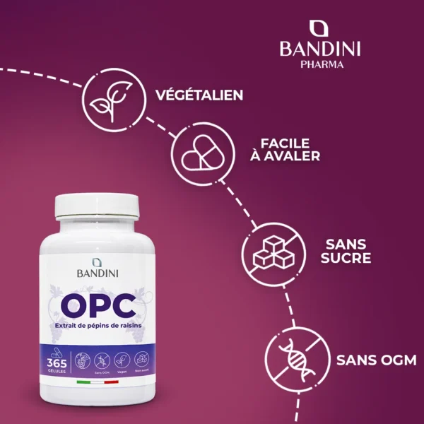 Complément alimentaire à base d’extrait de pépins de raisin OPC