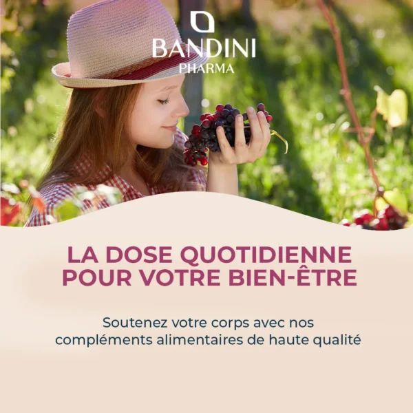 Complément alimentaire à base d’extrait de pépins de raisin OPC