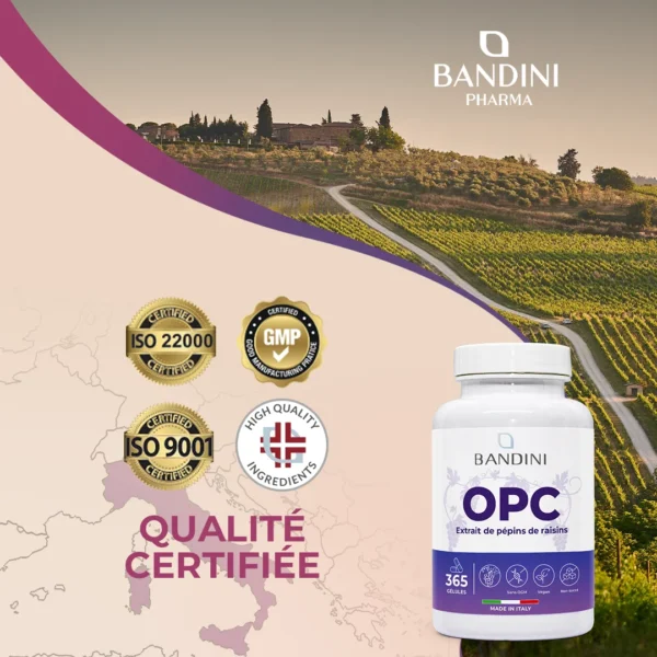 Complément alimentaire à base d’extrait de pépins de raisin OPC