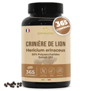 Complément alimentaire à base de crinière de lion