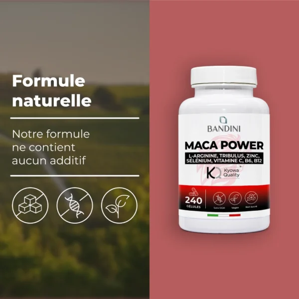 Complément alimentaire à base de Maca Power