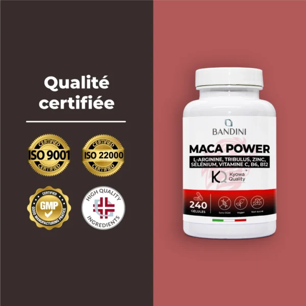 Complément alimentaire à base de Maca Power