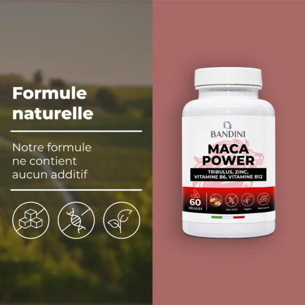 Complément alimentaire à base de Maca Power