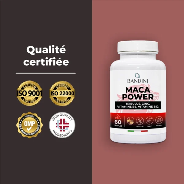 Complément alimentaire à base de Maca Power