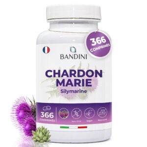 Chardon Marie 366 comprimés