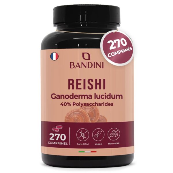 Reishi 270 comprimés