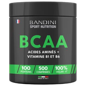 BCAA 500 comprimés