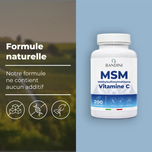 Msm 200 Cpr It.pt03