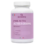 Anteprima principale