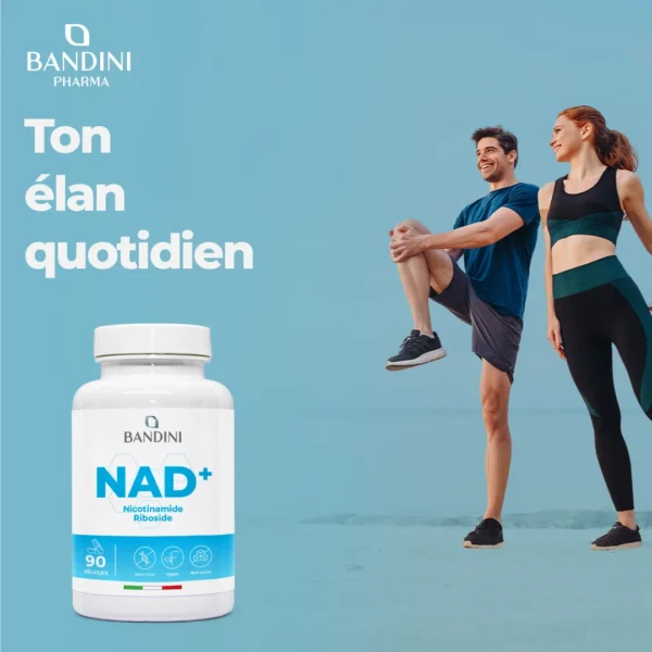 Complément à base de NAD 90 gélules