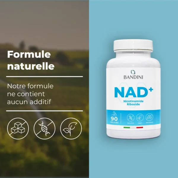 Complément à base de NAD 90 gélules