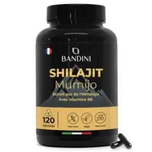 Shilajit 120 gélules