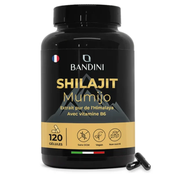 Shilajit – 120 gélules