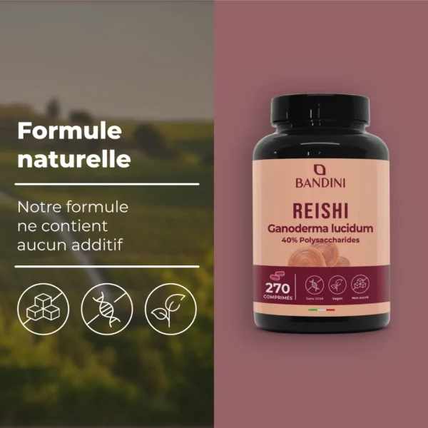 Complément à base de reishi