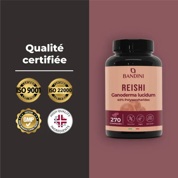 Complément à base de reishi