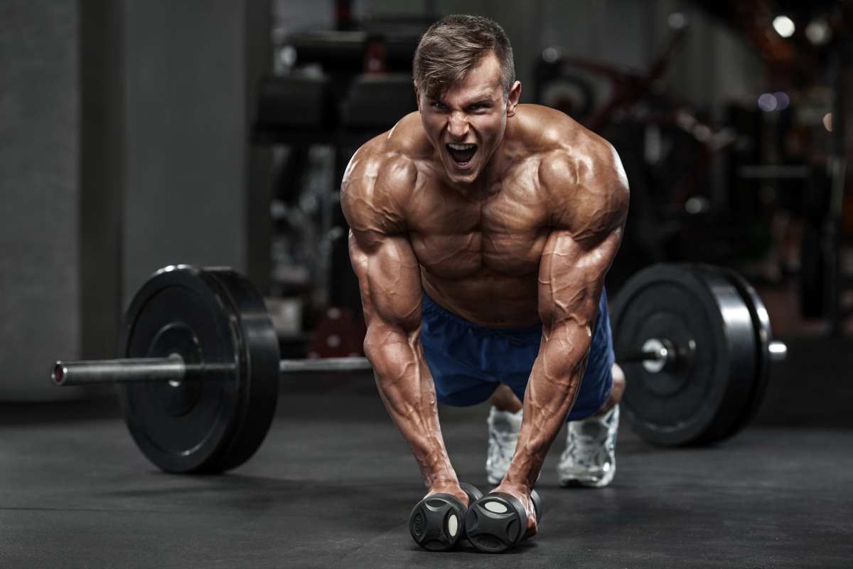Carnitine Perte De Poids