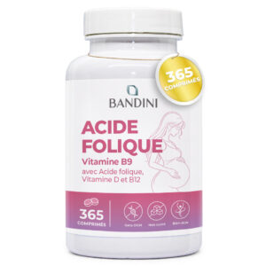 Acide folique 365 comprimés BANDINI main