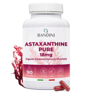 Astaxanthine 90 gélules BANDINI main