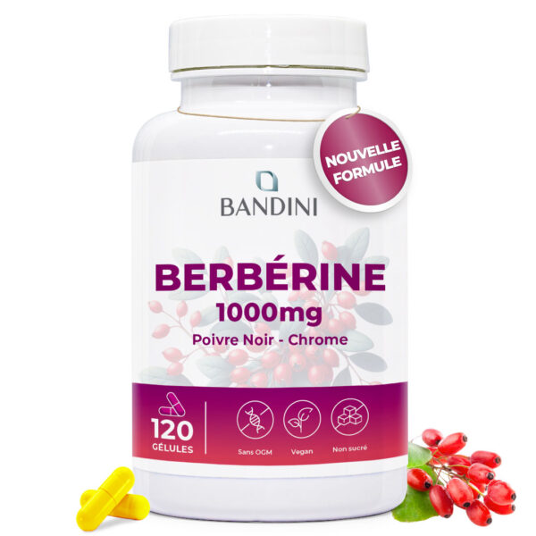 Berbérine – 120 Gélules