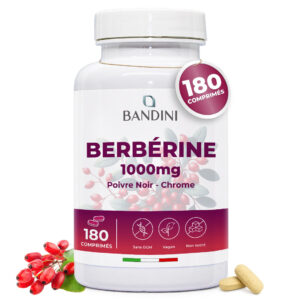 Berbérine 180 comprimés BANDINI main