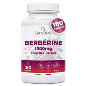 Berbérine 180 gélules BANDINI main