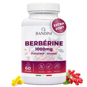 Berbérine 60 gélules BANDINI main
