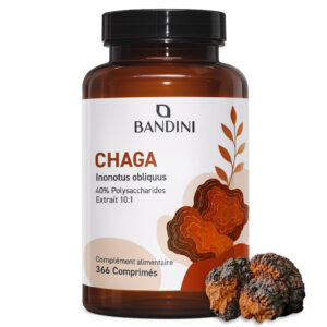 Chaga 366 comprimés BANDINI main