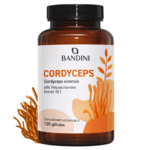 Cordyceps sinensis 120 gélules BANDINI main