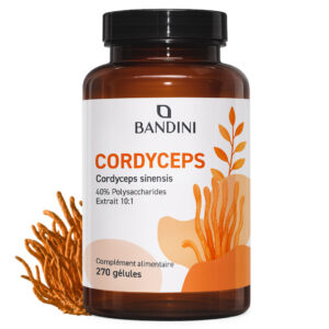 Cordyceps Sinensis 270 Gélules BANDINI main