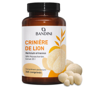 Crinière de lion 365 comprimés BANDINI main