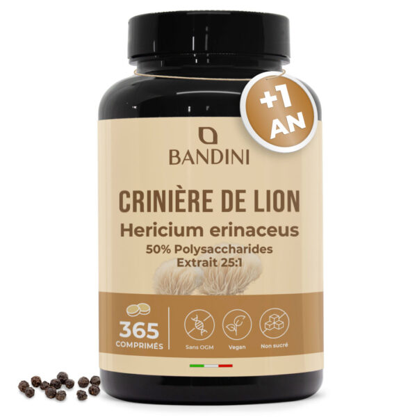 Crinière de lion – 365 comprimés