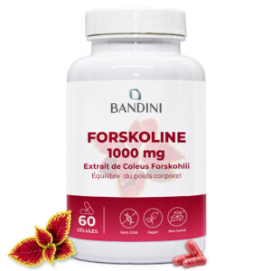 Forskoline 60 gélules BANDINI main