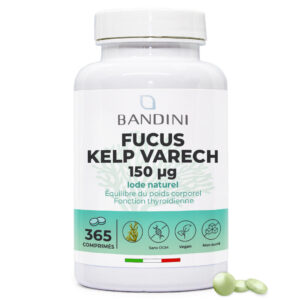 Fucus Algue Varech 150mcg 365 Comprimés BANDINI main