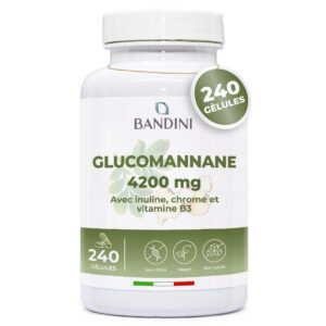 Glucomannane 240 gélules BANDINI main