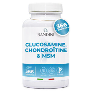 Glucosamine 366 comprimés BANDINI main