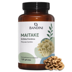 Maitake 120 gélules BANDINI main
