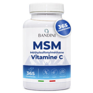 MSM 365 comprimés BANDINI main