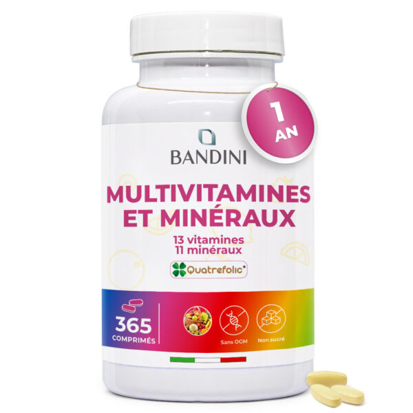Multivitaminique – 365 comprimés