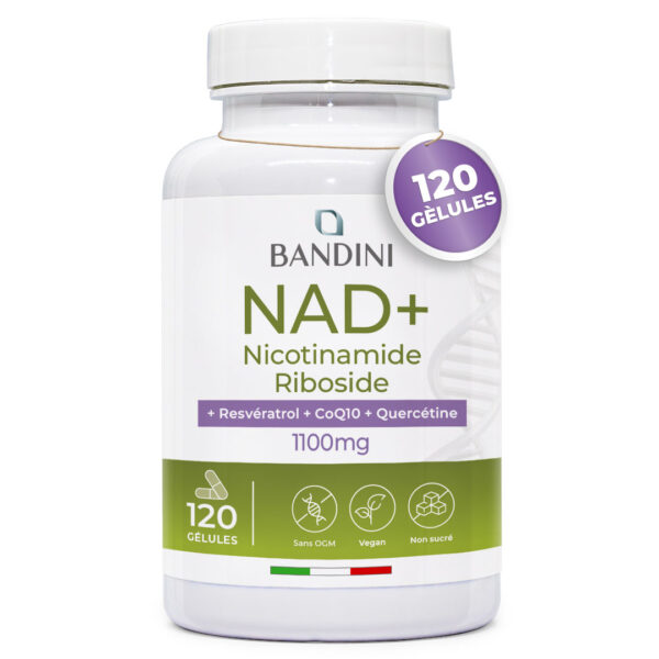 NAD+ liposomal – 120 Gélules