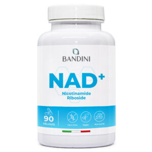 NAD Nicotinamide Riboside Chloride 300 mg 90 gélules BANDINI main