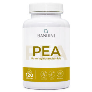 PEA 120 gélules BANDINI main