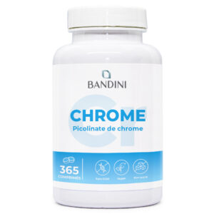 Picolinate de Chrome 365 comprimés BANDINI main