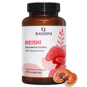 Reishi 270 comprimés BANDINI main