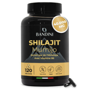 Shilajit 120 gélules BANDINI main