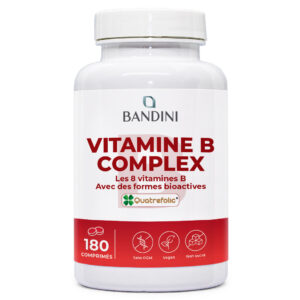 Vitamine B Complex 180 comprimés BANDINI main