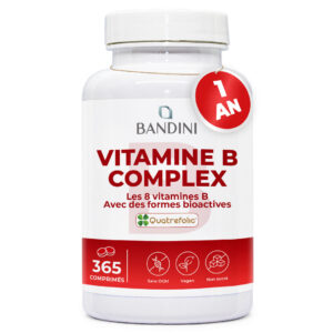 Vitamine B Complex 365 comprimés BANDINI main